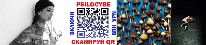 Псилоцибиновые грибы мицелий  Евпатория 