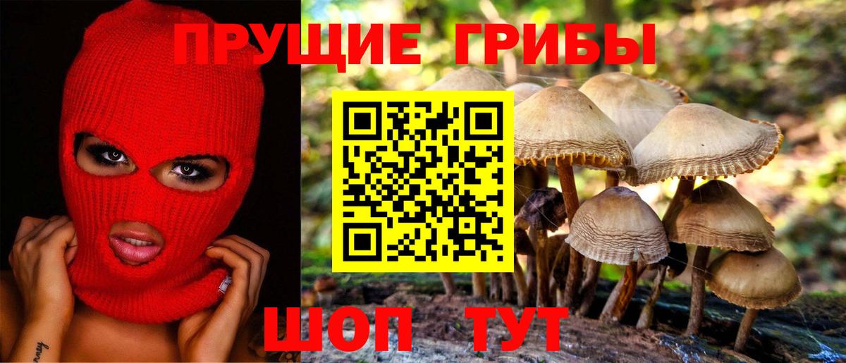 Псилоцибиновые грибы Psilocybe Евпатория