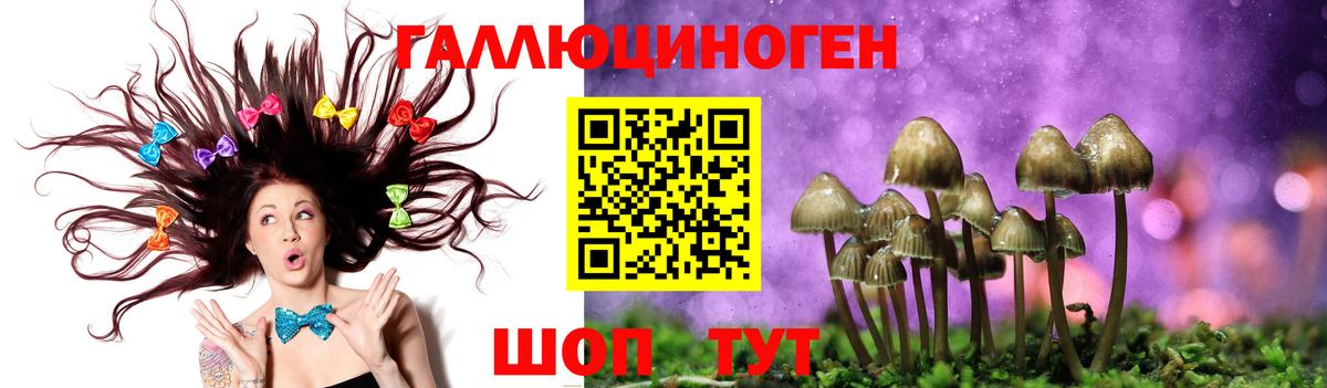 Евпатория  Псилоцибиновые грибы ЛСД  Псилоцибиновые грибы Magic Shrooms  Вход с VPN 