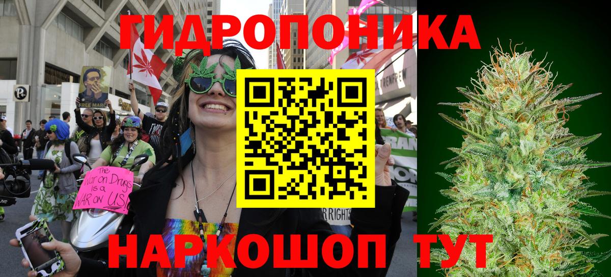 Бошки марихуана сатива Евпатория